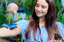 Butterfly Garden Ticket with Shared Transfer