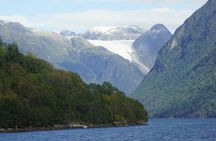 Guided Fjord and Glacier Tour from Voss