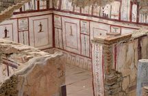 For Cruisers Ephesus Tour with ENTRY TICKETS