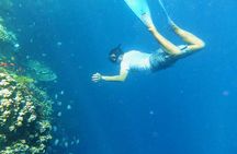 Combination Tour: Ayung river rafting With Blue Lagoon Snorkeling