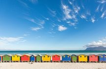 The Road Trip (Cape Point and Penguins)