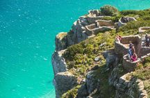 The Road Trip (Cape Point and Penguins)