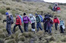 Climb Kilimanjaro, 7 Days Machame Route Hiking