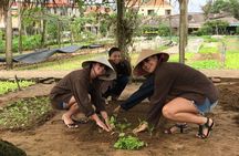 Become a Farmer at Tra Que Vegetable Village included cooking class and Foot Massage