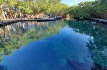 Boat Tour of Three Islands in Holbox with Transportation