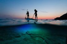 Stand-Up- Paddle Glow Night Tour in Pula