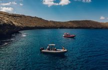 2-Hour Molokini Snorkel Trip