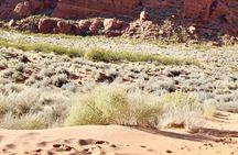 Snow Canyon Tour with Lava Tube Cave that descends 150ft