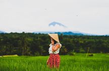 Private Tour to Water Temples, Waterfall and UNESCO Rice Terraces