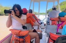 Palo Verde Natural Park Boat Tour