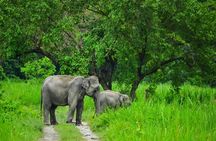 1 Day Akagera Game Drive Safari 