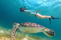 St. Thomas Maho Bay Turtle Snorkel Sail - Ritz-Carlton