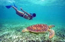 St. Thomas Maho Bay Turtle Snorkel Sail - Ritz-Carlton