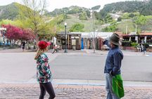 Highlights of Aspen Tour