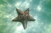 Island Saona tour from Bavaro