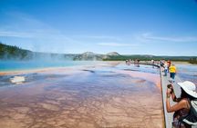 Best of Yellowstone Guided Tour from Bozeman - Private Tour