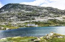 Geiranger: Excursions.no Mount Dalsnibba & Eagle's Bend