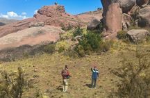 FULL DAY RUTA AYMARA (chucuito, Molloco, Aramo Muro, Waru warus,)