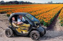 Tulip Fields Tour near Keukenhof - Self-drive with Audio Guide
