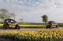 Tulip Fields Tour near Keukenhof - Self-drive with Audio Guide