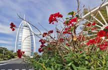 Dubai Top Five Attractions Tour With Entry Tickets