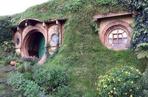 Hobbiton Transport & Tauranga Highlights Excursion from Tauranga