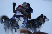 Free Pickup/Drop off: Alaskan Husky Dog Sledding with Free Photo 