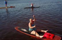 Dolphin, Manatee and SeaTurtle SUP Adventure Tour of St Augustine
