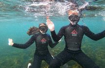 Manly Snorkel Trip and Nature Walk with Local Guide
