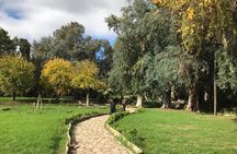 Private Historical Fez guided tour including all entrance fees