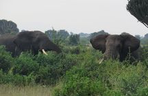Three days escape to Queen Elizabeth National park