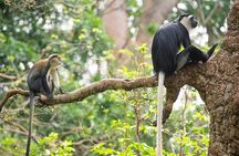 4 Days Cultural and Village Stay Experience