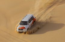 Morning Desert Safari From Abu Dhabi