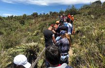 Full-Day Trip to the Salt Cathedral & the Guatavita Lagoon 