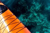 Cape Town Kayak Adventure in Table Mountain Marine Reserve