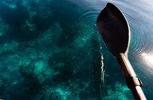 Cape Town Kayak Adventure in Table Mountain Marine Reserve