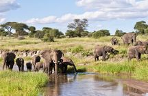 4 Days Tanzania National Parks Private Safari from Zanzibar 