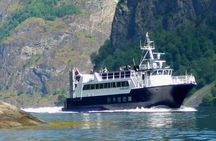Cidery Day Tour with a Fjord Cruise from Vossevangen