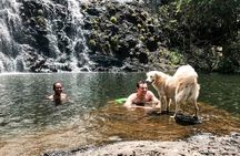 The Tamarind Falls (7 Cascades) Adventure