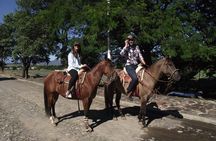 Horseback Riding Tour in The Agave Field with Lunch