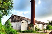 Antigua Historical Sites Island Tour