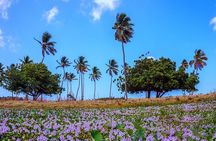 Antigua Shore Excursion: Round Island Tour