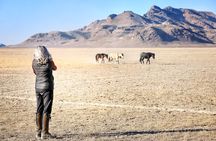 Private Wild Horse Photo Safari from Tooele