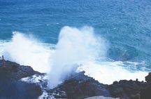 Oahu Deluxe Grand Circle Island Tour