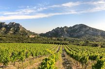Vineyard of the Alpilles by bike