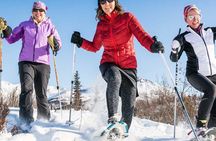 Snowshoe Adventures in Boulder Colorado
