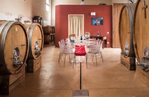 Picnic on the lawn -aromatic garden and winery