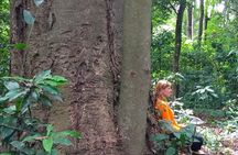 Rau Forest Bike tour