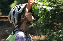 Rau Forest Bike tour