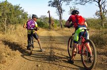 Kilimanjaro bike park safari
